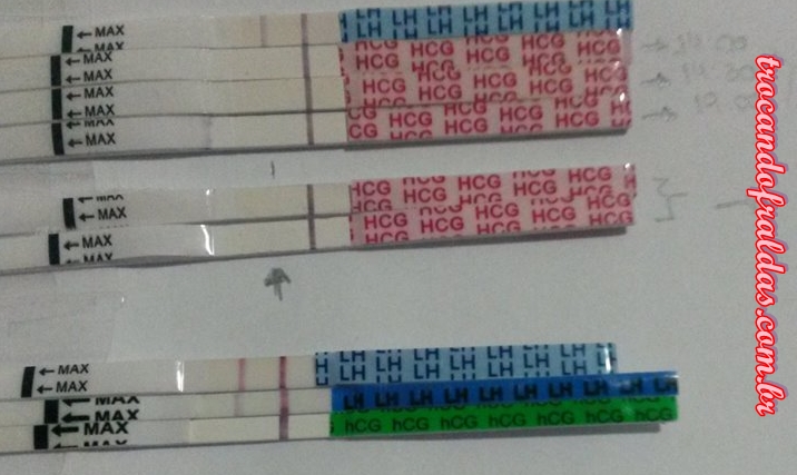 teste de ovulação 1