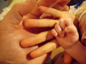 ginecologista obstetra