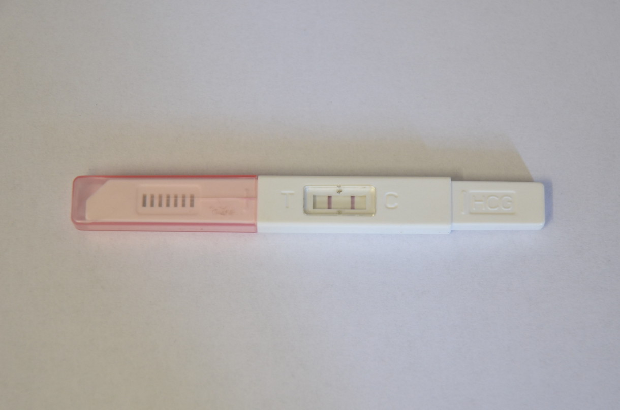 Teste de Gravidez Positivo Normal