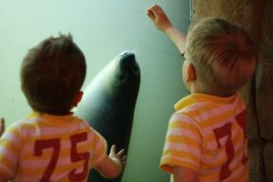 Children at an aquarium