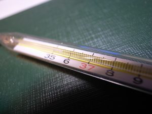 thermometer