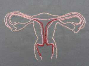 embroidered uterus on fabric